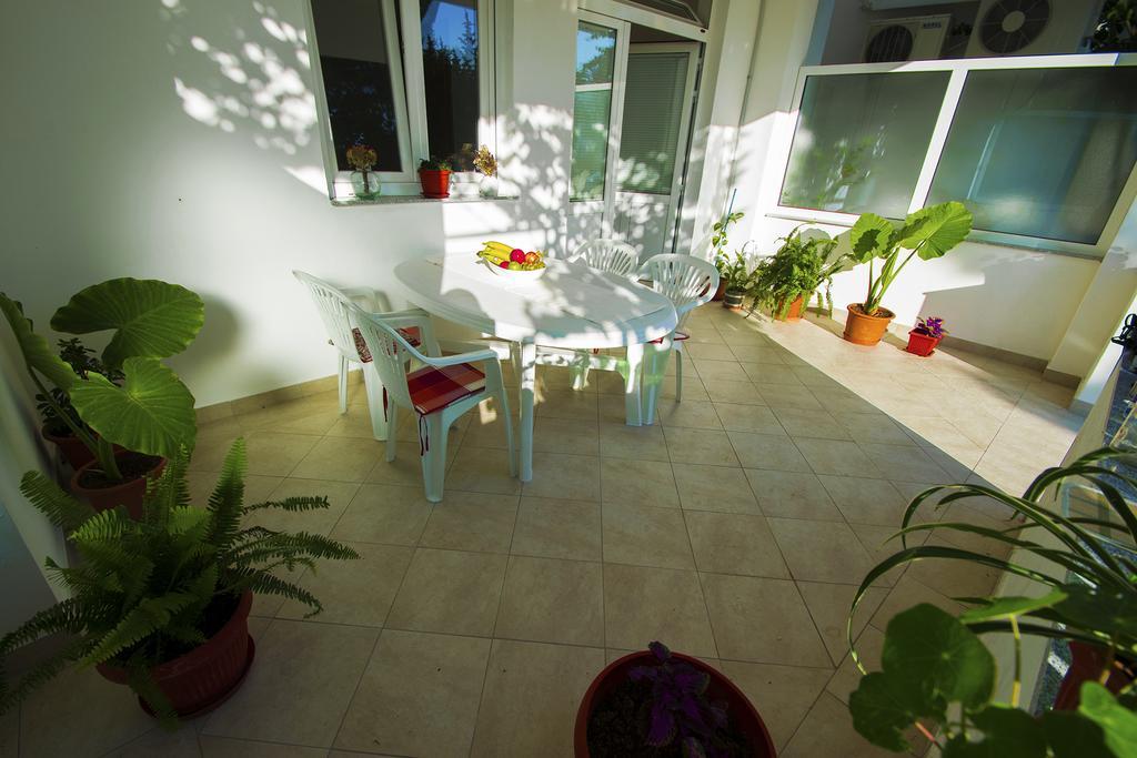 Apartmani I Sobe Grga Starigrad Paklenica Ngoại thất bức ảnh