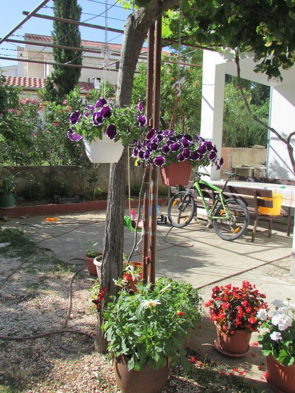 Apartmani I Sobe Grga Starigrad Paklenica Ngoại thất bức ảnh